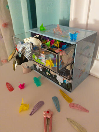 Hair Clip Conundrum Hair Clip Conundrum